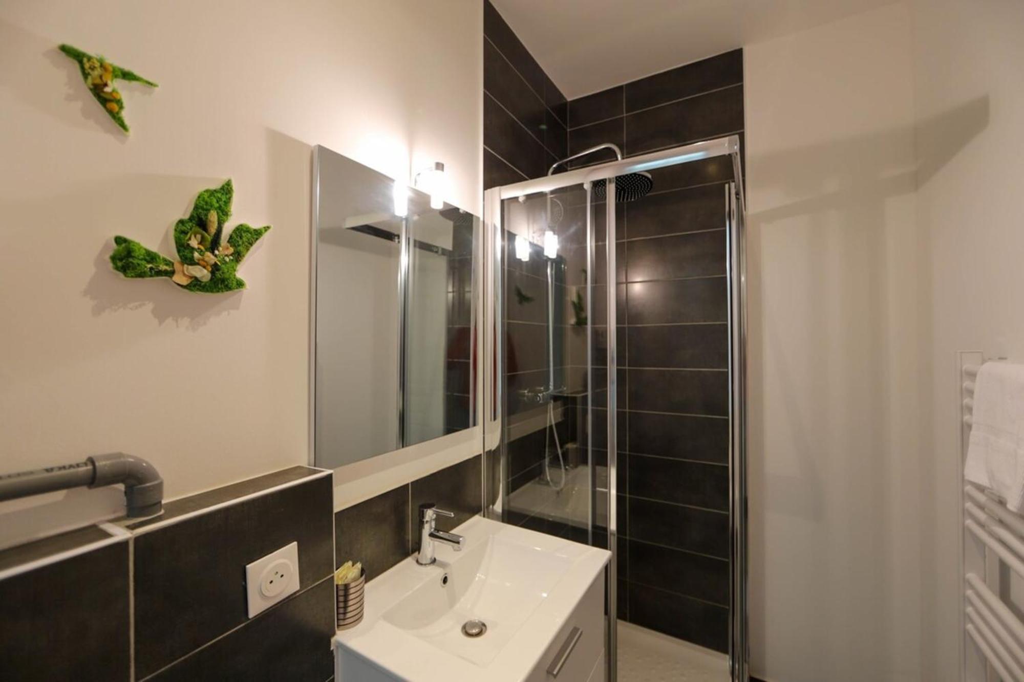 Le Petit Plus - Studio Confortable Avec Parking Annecy Exterior foto
